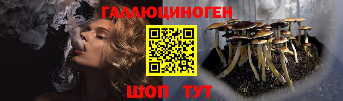 Псилоцибиновые грибы Psilocybe  Вход с VPN  Рыбинск  Псилоцибиновые грибы Psilocybe 